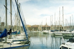 Bateaux au Vieux-Port